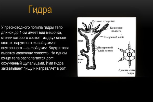 Кракен 9 at