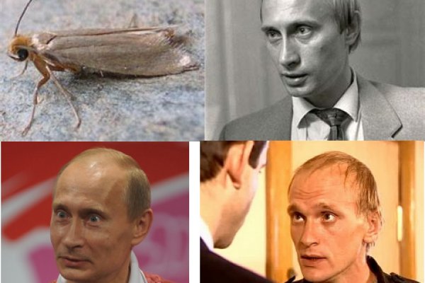 Кракен ссылка на рабочее зеркало